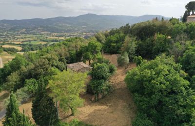 Farmhouse for sale Città di Castello, Umbria:  