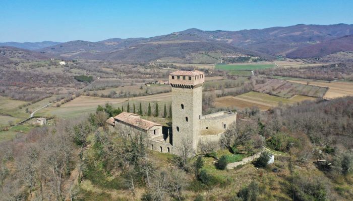 Medieval Castle Pian di Marte 2