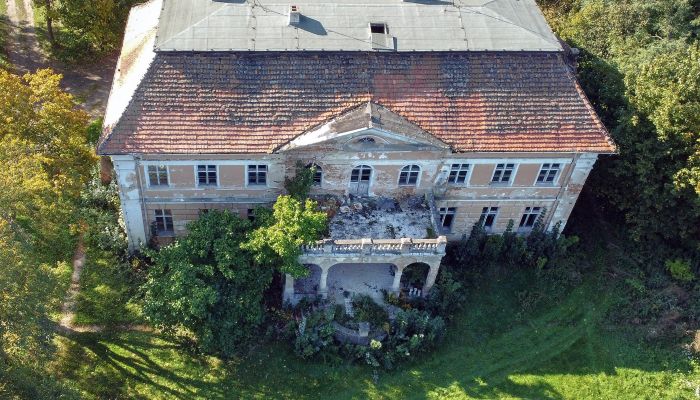 Splendid Country Manor in Poland: Granówko, Confidential Property Listing
