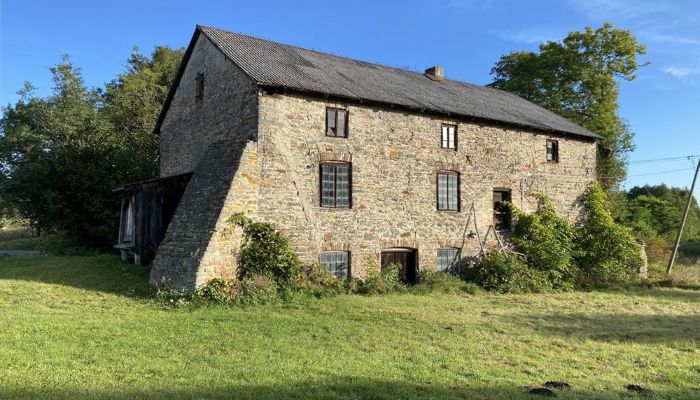 Mill Pawłów, Mazovia