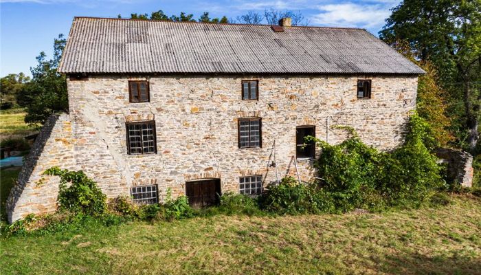 Mill Pawłów 2