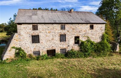 Mill for sale Pawłów, Masovian Voivodeship:  
