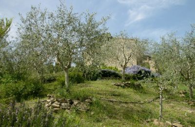 Church for sale 06060 Lisciano Niccone, Umbria, Photo 23/30