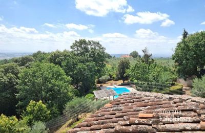 Country House for sale Monte San Savino, Tuscany:  RIF 3008 Pool und Umgebung
