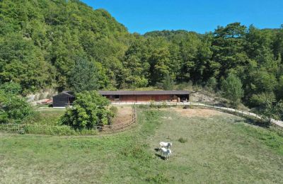 Country home for sale 06014 Montone, Umbria, Photo 35/36