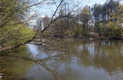 Historical park for sale Dębe Wielkie, Ruda, Mazovia, Lake