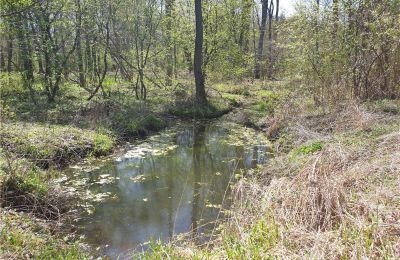 Historical park for sale Dębe Wielkie, Ruda, Mazovia, Photo 11/24