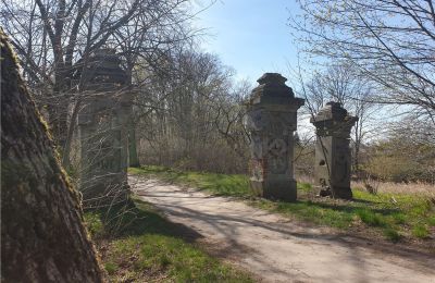 Historical park for sale Dębe Wielkie, Ruda, Mazovia, Photo 2/24