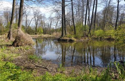 Historical park for sale Dębe Wielkie, Ruda, Mazovia, Photo 9/24