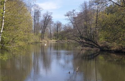 Historical park for sale Dębe Wielkie, Ruda, Mazovia, Photo 14/24