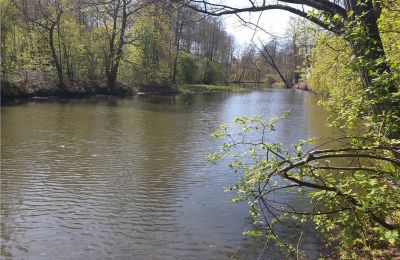 Historical park for sale Dębe Wielkie, Ruda, Mazovia, Photo 15/24