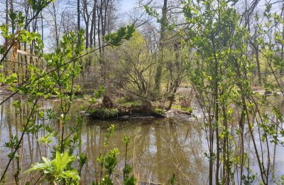 Historical park for sale Dębe Wielkie, Ruda, Mazovia, Photo 17/24