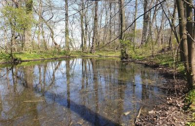 Historical park for sale Dębe Wielkie, Ruda, Mazovia, Photo 16/24