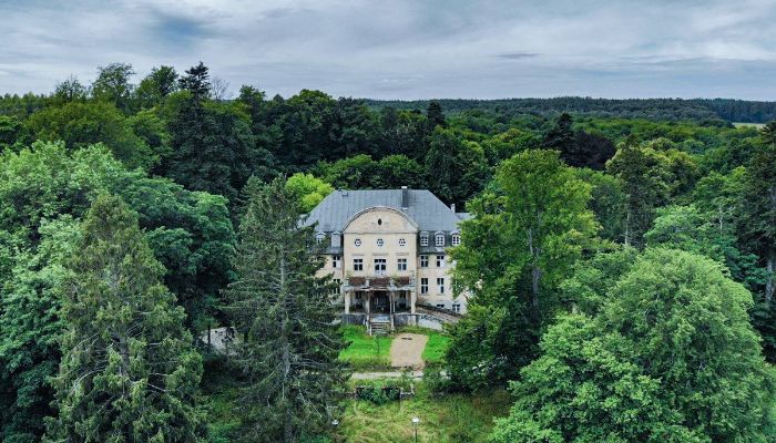 Castle Trzcinno, Pomeranian Voivodeship