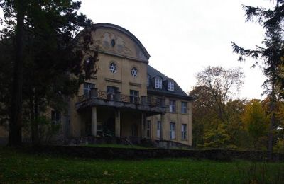 Castle for sale Trzcinno, Trzcinno 21, Pomerania, Side view