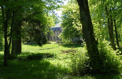 Castle for sale Trzcinno, Trzcinno 21, Pomerania, Palace Garden