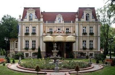 Castle for sale Niewodniki, Opole Region, Photo 1/9