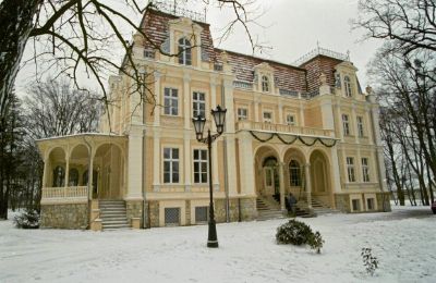 Castle for sale Niewodniki, Opole Region, Photo 4/9