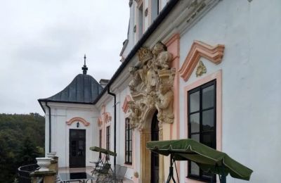 Castle for sale Czyżów Szlachecki, Holy Cross Region, Photo 2/14
