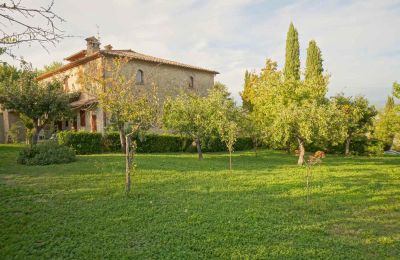 Country House for sale Lerchi, Umbria:  