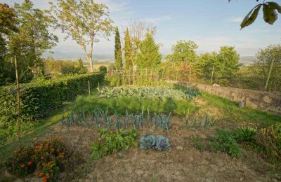 Country House for sale Lerchi, Umbria:  Garden