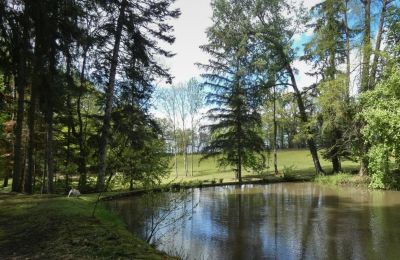 Castle for sale Burgundy-Franche-Comté, Lake