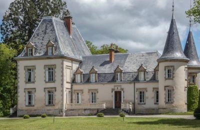 Castle for sale Burgundy-Franche-Comté, Exterior View