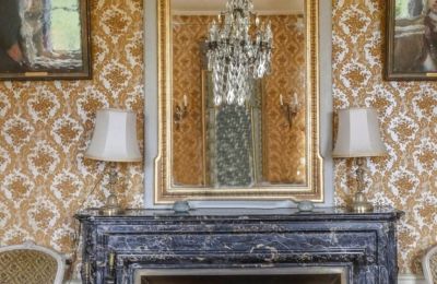 Castle for sale Burgundy-Franche-Comté, Details