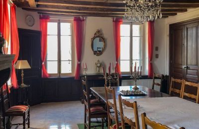 Castle for sale Burgundy-Franche-Comté, Photo 7/11