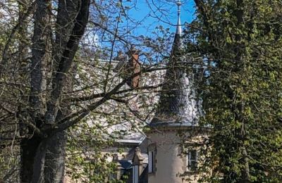 Castle for sale Burgundy-Franche-Comté, Tower
