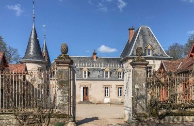 Castle for sale Burgundy-Franche-Comté, Entrance