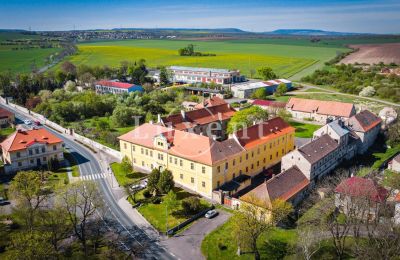 Castle for sale Cítoliby, Zamek Cítoliby, Ústecký kraj, Drone view