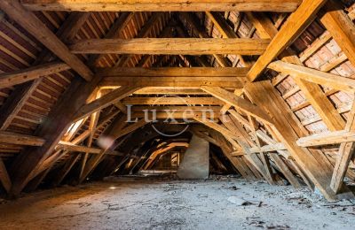 Castle for sale Cítoliby, Zamek Cítoliby, Ústecký kraj, Roof