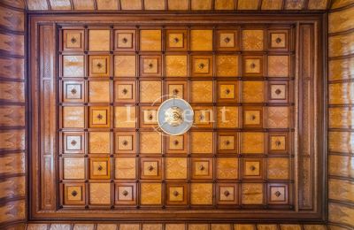 Castle for sale Mirošov, Zámek Mirošov, Plzeňský kraj, Ceiling