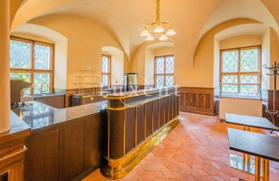 Castle for sale Mirošov, Zámek Mirošov, Plzeňský kraj, Photo 19/30