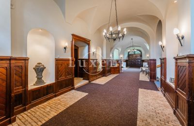 Castle for sale Mirošov, Zámek Mirošov, Plzeňský kraj, Entrance Hall
