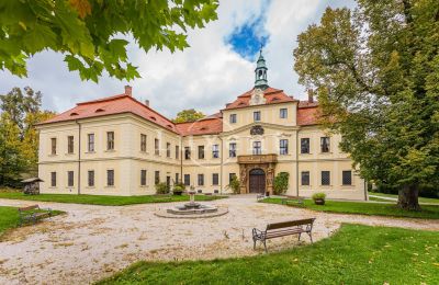 Castle for sale Mirošov, Zámek Mirošov, Plzeňský kraj, Garden