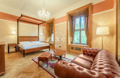 Castle for sale Mirošov, Zámek Mirošov, Plzeňský kraj, Photo 15/30