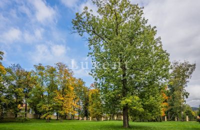 Castle for sale Mirošov, Zámek Mirošov, Plzeňský kraj:  