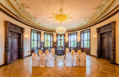 Castle for sale Mirošov, Zámek Mirošov, Plzeňský kraj, Ballroom