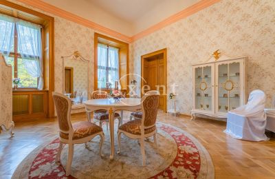 Castle for sale Mirošov, Zámek Mirošov, Plzeňský kraj, Photo 20/30