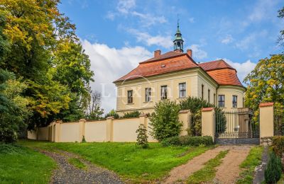 Castle for sale Mirošov, Zámek Mirošov, Plzeňský kraj, Photo 27/30