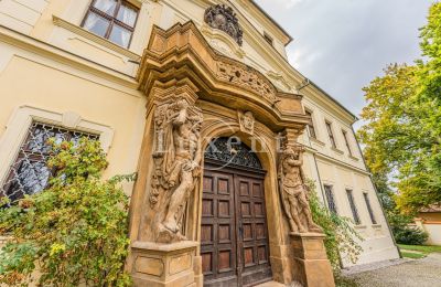 Castle for sale Mirošov, Zámek Mirošov, Plzeňský kraj, Photo 29/30