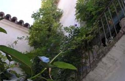 Manor House for sale Córdoba, Plaza Séneca  3, Andalusia, Photo 8/9