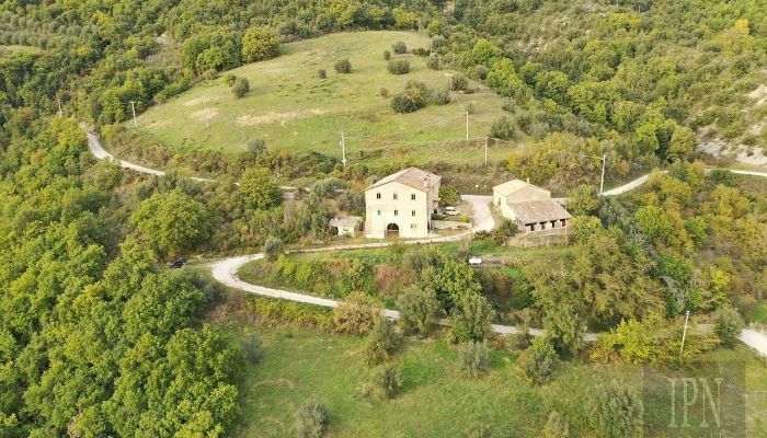  Pierantonio 1