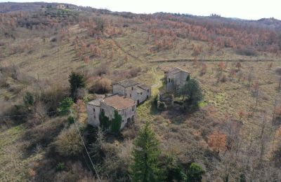 Country home for sale 06019 Umbertide, Umbria, Photo 12/20