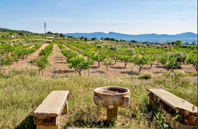 Castle for sale Ibi, Valencia, Property