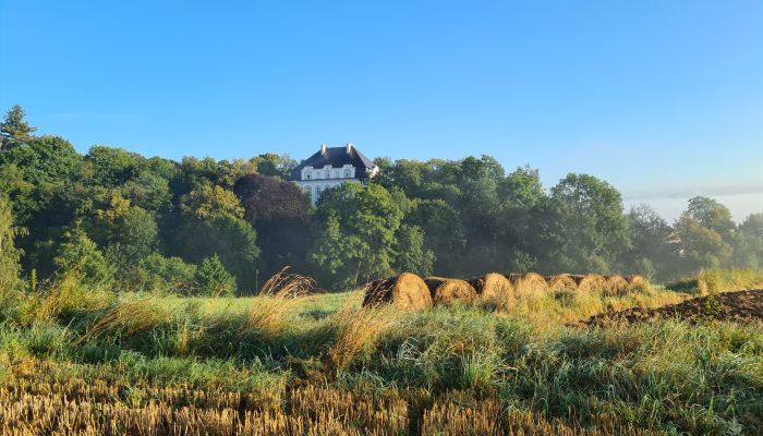 Castle Piszkowice 1