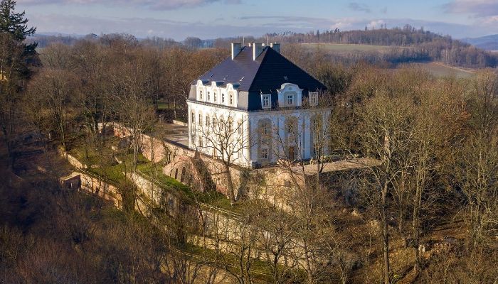 Castle Piszkowice 2