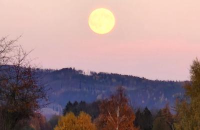 Castle for sale Piszkowice, Lower Silesia, Okokica